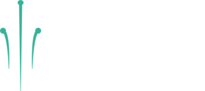 Velocity Logo